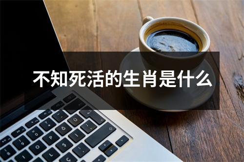 不知死活的生肖是什么