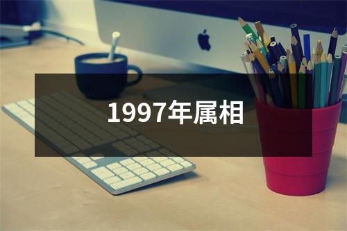 1997年属相