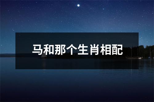 马和那个生肖相配