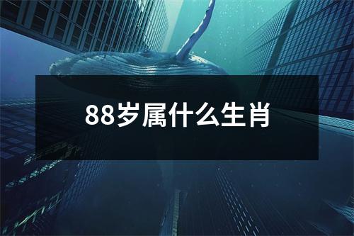 88岁属什么生肖