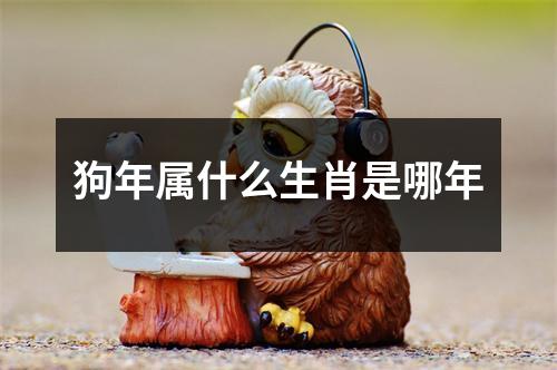 狗年属什么生肖是哪年