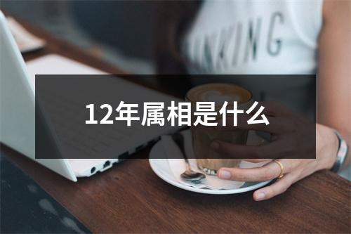 12年属相是什么