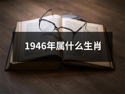 1946年属什么生肖