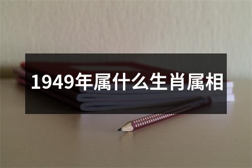 1949年属什么生肖属相