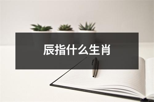 辰指什么生肖