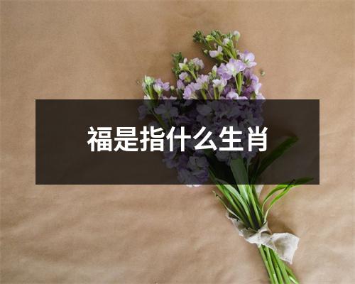 福是指什么生肖