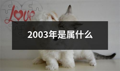 2003年是属什么