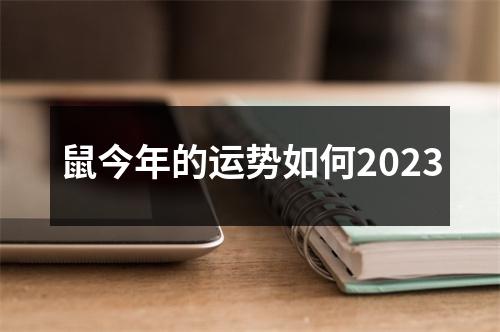 鼠今年的运势如何2023