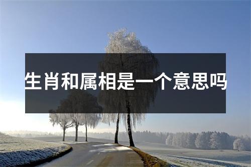 生肖和属相是一个意思吗