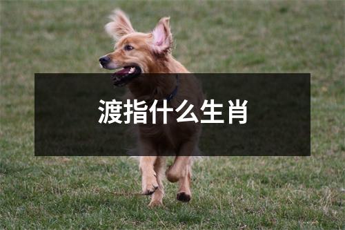 渡指什么生肖