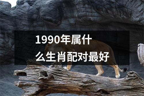 1990年属什么生肖配对最好