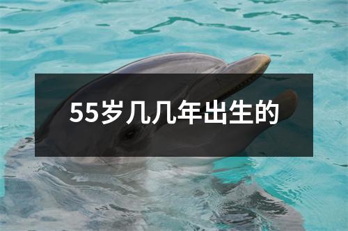 55岁几几年出生的