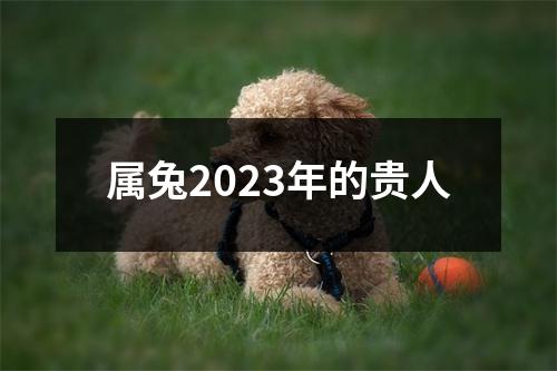 属兔2023年的贵人