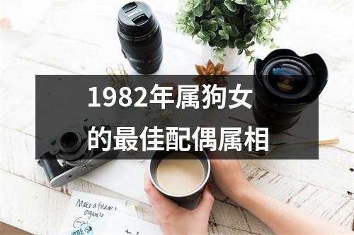 1982年属狗女的最佳配偶属相