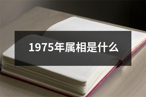 1975年属相是什么