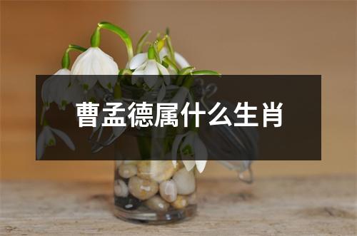 曹孟德属什么生肖