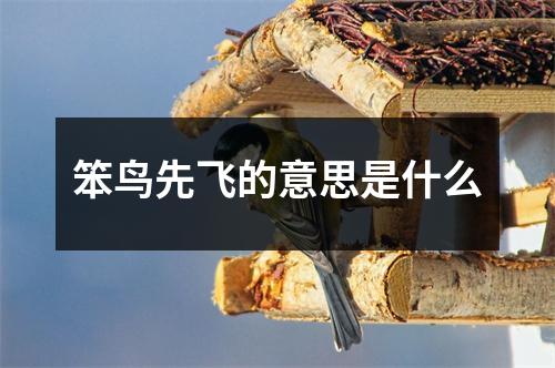 笨鸟先飞的意思是什么