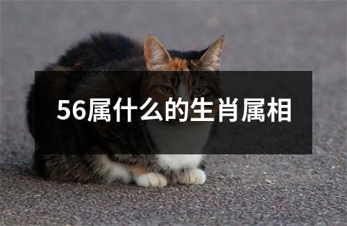 56属什么的生肖属相