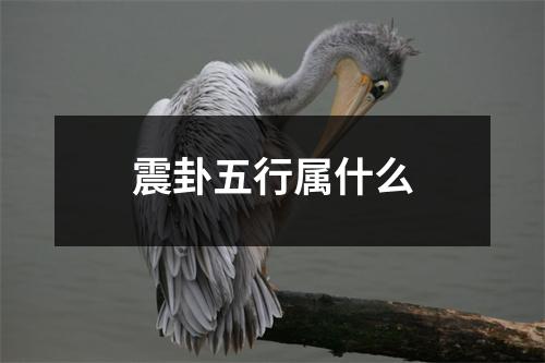 震卦五行属什么