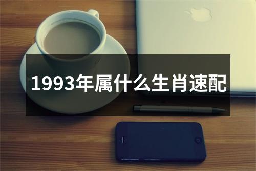 1993年属什么生肖速配