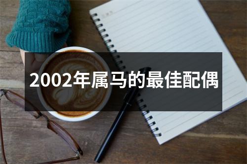 2002年属马的最佳配偶