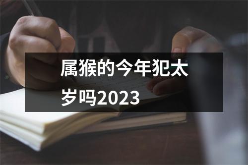 属猴的今年犯太岁吗2023