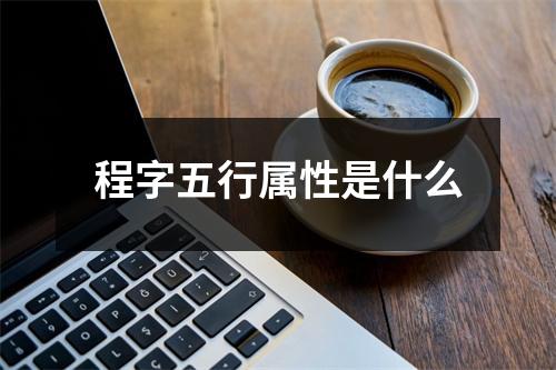 程字五行属性是什么