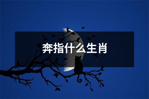 奔指什么生肖