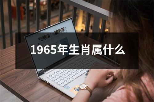 1965年生肖属什么