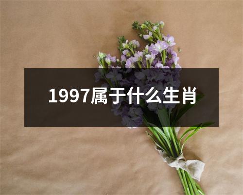 1997属于什么生肖