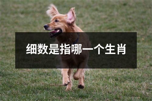 细数是指哪一个生肖