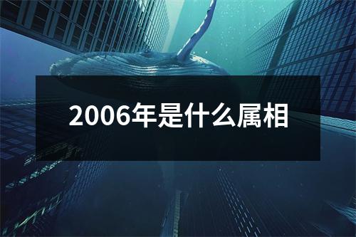 2006年是什么属相