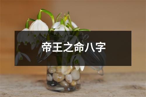 帝王之命八字