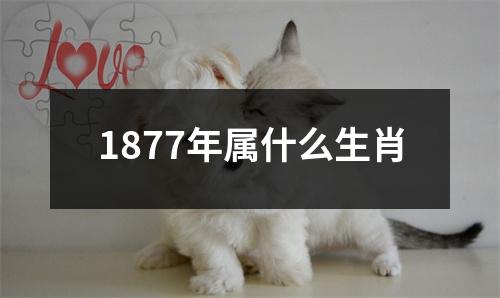 1877年属什么生肖