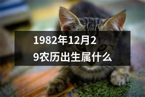 1982年12月29农历出生属什么