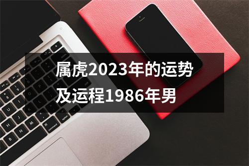 属虎2023年的运势及运程1986年男