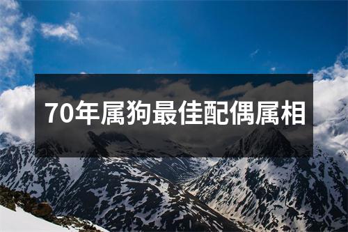 70年属狗最佳配偶属相