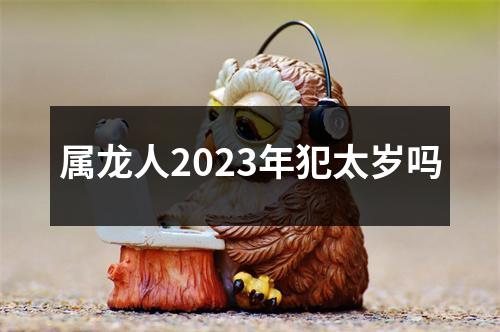 属龙人2023年犯太岁吗