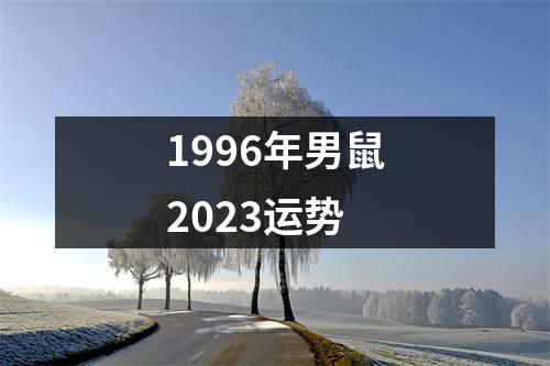 1996年男鼠2023运势