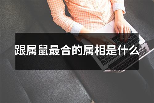 跟属鼠最合的属相是什么