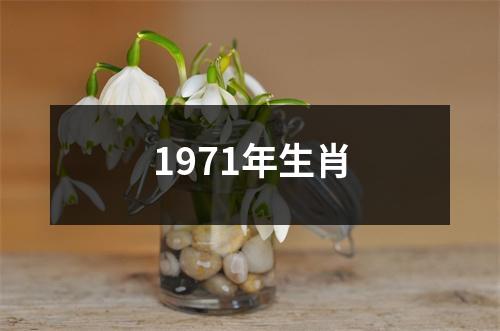 1971年生肖