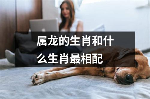 属龙的生肖和什么生肖最相配