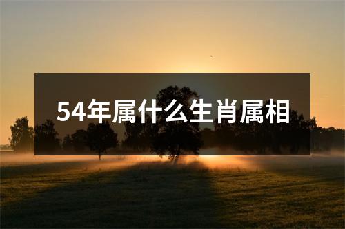 54年属什么生肖属相