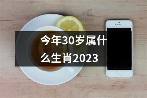 今年30岁属什么生肖2023