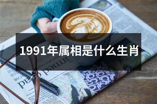 1991年属相是什么生肖