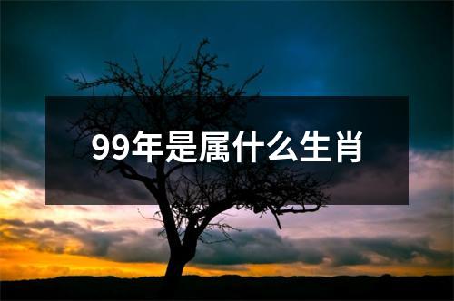 99年是属什么生肖