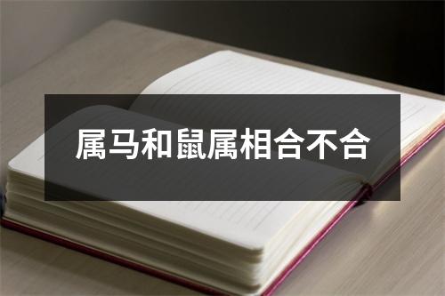 属马和鼠属相合不合