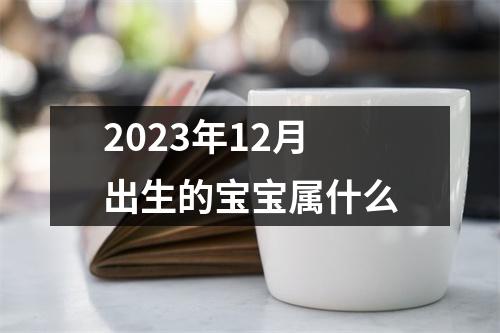 2023年12月出生的宝宝属什么