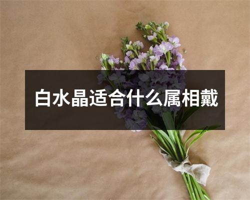 白水晶适合什么属相戴