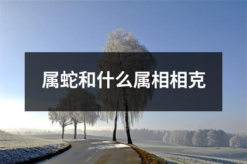 属蛇和什么属相相克